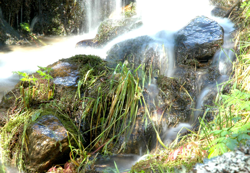 water